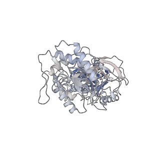 27959_8e98_A_v1-1
D-cycloserine and glutamate bound Human GluN1a-GluN2C NMDA receptor in nanodisc - intact conformation