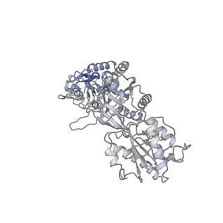 27959_8e98_B_v1-1
D-cycloserine and glutamate bound Human GluN1a-GluN2C NMDA receptor in nanodisc - intact conformation