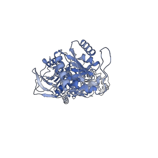 27959_8e98_C_v1-1
D-cycloserine and glutamate bound Human GluN1a-GluN2C NMDA receptor in nanodisc - intact conformation