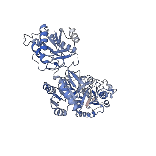 27959_8e98_D_v1-1
D-cycloserine and glutamate bound Human GluN1a-GluN2C NMDA receptor in nanodisc - intact conformation