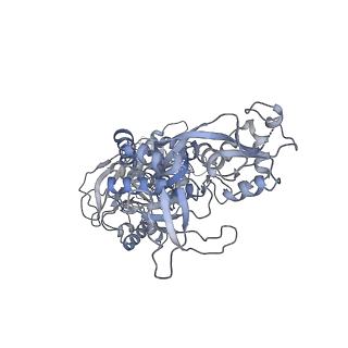 27961_8e99_A_v1-1
Human GluN1a-GluN2A-GluN2C triheteromeric NMDA receptor in complex with Nb-4