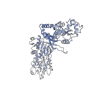 27961_8e99_B_v1-1
Human GluN1a-GluN2A-GluN2C triheteromeric NMDA receptor in complex with Nb-4