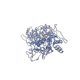 27961_8e99_C_v1-1
Human GluN1a-GluN2A-GluN2C triheteromeric NMDA receptor in complex with Nb-4