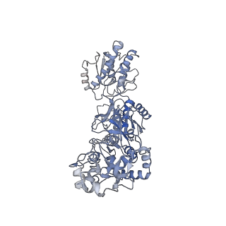 27961_8e99_D_v1-1
Human GluN1a-GluN2A-GluN2C triheteromeric NMDA receptor in complex with Nb-4