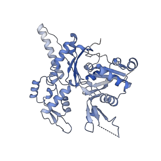 27962_8e9b_A_v1-0
Cryo-EM structure of S. pombe Arp2/3 complex in the branch junction