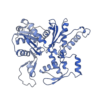 27962_8e9b_B_v1-0
Cryo-EM structure of S. pombe Arp2/3 complex in the branch junction