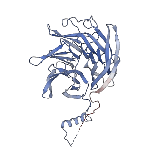 27962_8e9b_C_v1-0
Cryo-EM structure of S. pombe Arp2/3 complex in the branch junction