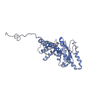 27962_8e9b_D_v1-0
Cryo-EM structure of S. pombe Arp2/3 complex in the branch junction