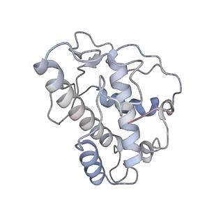27962_8e9b_E_v1-0
Cryo-EM structure of S. pombe Arp2/3 complex in the branch junction