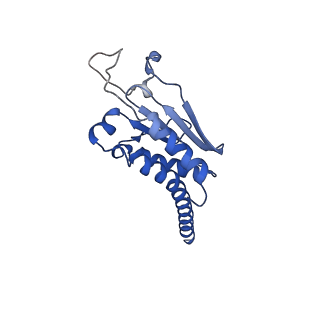 27962_8e9b_F_v1-0
Cryo-EM structure of S. pombe Arp2/3 complex in the branch junction