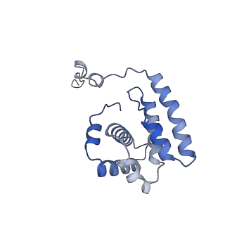 27962_8e9b_G_v1-0
Cryo-EM structure of S. pombe Arp2/3 complex in the branch junction