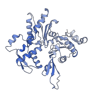27962_8e9b_H_v1-0
Cryo-EM structure of S. pombe Arp2/3 complex in the branch junction