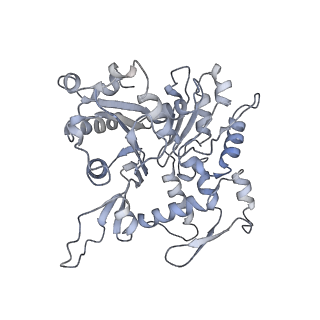 27962_8e9b_I_v1-0
Cryo-EM structure of S. pombe Arp2/3 complex in the branch junction