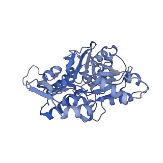 27962_8e9b_M_v1-0
Cryo-EM structure of S. pombe Arp2/3 complex in the branch junction