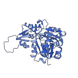 27962_8e9b_N_v1-0
Cryo-EM structure of S. pombe Arp2/3 complex in the branch junction