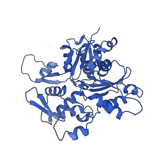 27962_8e9b_O_v1-0
Cryo-EM structure of S. pombe Arp2/3 complex in the branch junction