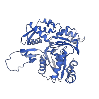 27962_8e9b_P_v1-0
Cryo-EM structure of S. pombe Arp2/3 complex in the branch junction