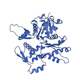 27962_8e9b_Q_v1-0
Cryo-EM structure of S. pombe Arp2/3 complex in the branch junction