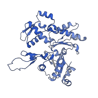 27962_8e9b_R_v1-0
Cryo-EM structure of S. pombe Arp2/3 complex in the branch junction