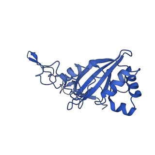 27963_8e9g_C_v1-1
Mycobacterial respiratory complex I with both quinone positions modelled