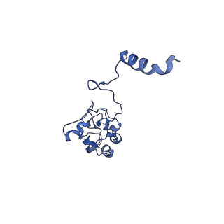 27963_8e9g_I_v1-1
Mycobacterial respiratory complex I with both quinone positions modelled
