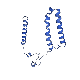 27964_8e9h_A_v1-1
Mycobacterial respiratory complex I, fully-inserted quinone