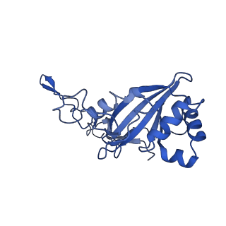 27964_8e9h_C_v1-1
Mycobacterial respiratory complex I, fully-inserted quinone