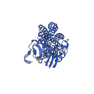 27964_8e9h_D_v1-1
Mycobacterial respiratory complex I, fully-inserted quinone