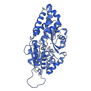 27964_8e9h_F_v1-1
Mycobacterial respiratory complex I, fully-inserted quinone