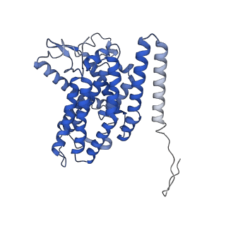 27964_8e9h_H_v1-1
Mycobacterial respiratory complex I, fully-inserted quinone