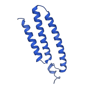 27964_8e9h_K_v1-1
Mycobacterial respiratory complex I, fully-inserted quinone
