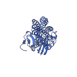 27965_8e9i_D_v1-1
Mycobacterial respiratory complex I, semi-inserted quinone