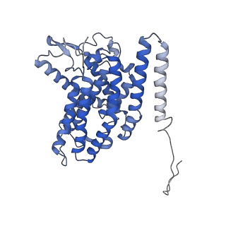 27965_8e9i_H_v1-1
Mycobacterial respiratory complex I, semi-inserted quinone