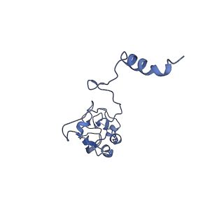 27965_8e9i_I_v1-1
Mycobacterial respiratory complex I, semi-inserted quinone