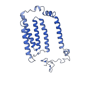 27965_8e9i_J_v1-1
Mycobacterial respiratory complex I, semi-inserted quinone