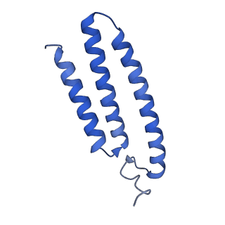 27965_8e9i_K_v1-1
Mycobacterial respiratory complex I, semi-inserted quinone