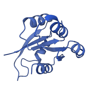 27965_8e9i_O_v1-1
Mycobacterial respiratory complex I, semi-inserted quinone