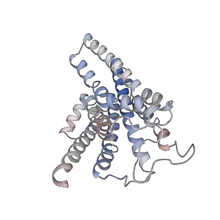 27966_8e9w_A_v1-2
CryoEM structure of miniGq-coupled hM3Dq in complex with DCZ