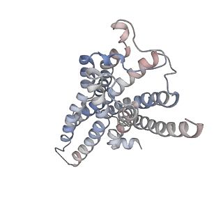 27967_8e9x_A_v1-2
CryoEM structure of miniGo-coupled hM4Di in complex with DCZ