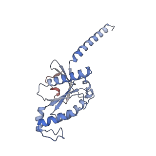 27967_8e9x_B_v1-2
CryoEM structure of miniGo-coupled hM4Di in complex with DCZ