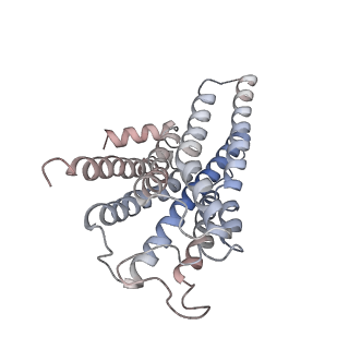 27969_8e9z_A_v1-2
CryoEM structure of miniGq-coupled hM3R in complex with Iperoxo