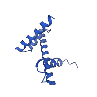 31029_7e9c_D_v1-0
Cryo-EM structure of the 1:1 Orc1 BAH domain in complex with nucleosome