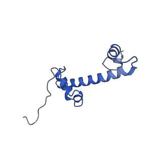 31029_7e9c_G_v1-0
Cryo-EM structure of the 1:1 Orc1 BAH domain in complex with nucleosome