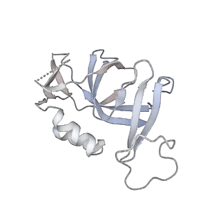 31029_7e9c_K_v1-0
Cryo-EM structure of the 1:1 Orc1 BAH domain in complex with nucleosome