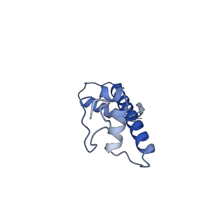 31030_7e9f_C_v1-0
Cryo-EM structure of the 2:1 Orc1 BAH domain in complex with nucleosome