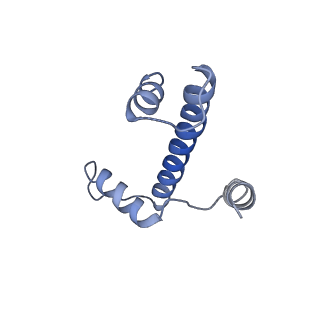 31030_7e9f_E_v1-0
Cryo-EM structure of the 2:1 Orc1 BAH domain in complex with nucleosome