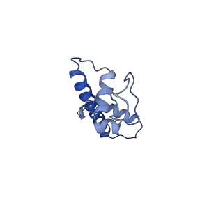 31030_7e9f_G_v1-0
Cryo-EM structure of the 2:1 Orc1 BAH domain in complex with nucleosome