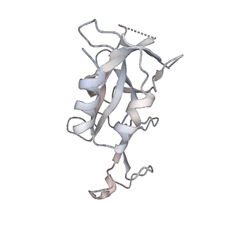 31030_7e9f_K_v1-0
Cryo-EM structure of the 2:1 Orc1 BAH domain in complex with nucleosome