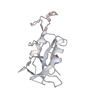 31030_7e9f_L_v1-0
Cryo-EM structure of the 2:1 Orc1 BAH domain in complex with nucleosome