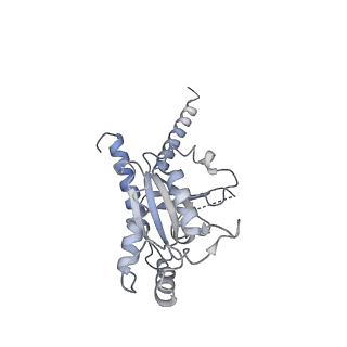 31031_7e9g_A_v1-1
Cryo-EM structure of Gi-bound metabotropic glutamate receptor mGlu2
